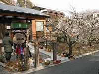 近所の蕎麦や。ここも満員