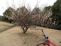 貝取北公園