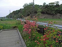 この付近では広い道路です