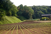 同じく眠い。字「山中」あたり