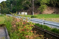 鶴見川源流の泉で