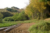 この先は未舗装で尾根幹線まで続く