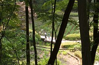 公園裏口から花菖蒲畑を見下ろす