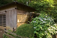 やや観光っぽい水車小屋の気がしたが