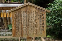 Ro肫Ɩtɏo