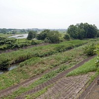 右は昭和記念公園から来る残堀川、奥は多摩川