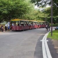 汽車でなくてバスです