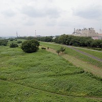 稲城大橋から多摩サイ