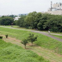 ローディとママチャリ