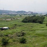 多摩川にはホームレス