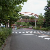 松が谷小学校の校庭を回り込むように登ると歩道橋が見える