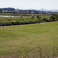 ぶれてしまった富士山