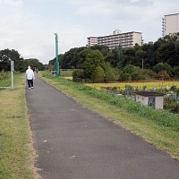 このあたりは自転車より人が多い