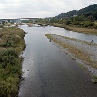 下流を見る。橋は羽村大橋