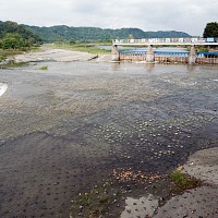 羽村取水口付近