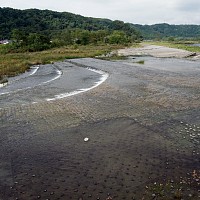 同じ場所