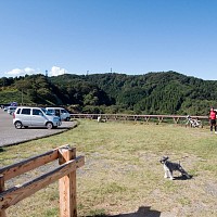 車で来る人、自転車で来る人、いろいろ