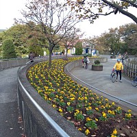 津久井湖城山公園