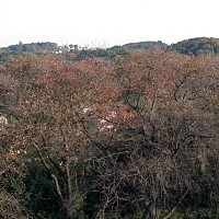 横浜方面だったかな