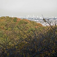 これは新宿ですね