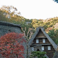 白川郷の建物を移設したようだ