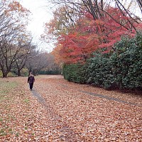 という曲が「山本コウタロウとウィークエンド」にあった