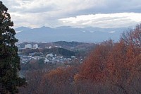 トリミング。奥多摩の山がよく見える。