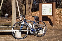 小山内裏公園の落葉はきれいに掃除されていた