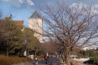 首都大学東京