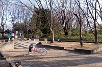 子供が遊ぶごく普通の公園でした・・・。