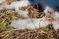 日向でもまだ雪が残る