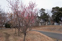 小山内裏公園