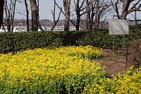 遠くに唐木田の清掃場の煙突