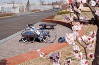 自転車に合わせたのにボケてしまいました。