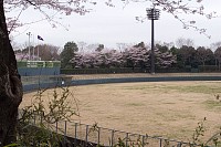 一本杉公園野球場