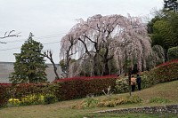 やはりここからがいい。電線邪魔だけど