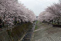 乞田川、上之根橋