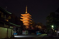 五重塔の右に桜