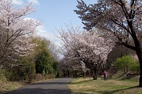 小山内裏公園