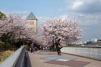 首都大学東京