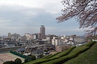 いろは坂桜公園から