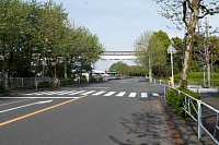 愛宕周回コース、大塚橋付近。多摩都市モノレールがオーバーパスする