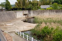 鶴見川の調整池です