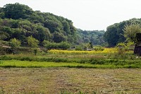 源流の泉の反対側の谷戸