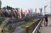 ロードで見学の人もいます