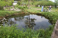 今日の源流はとりわけきれい