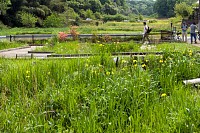 今日は数人の人が。マドンの人もいた