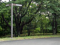 上り線のトンネル出口から左折しても公園に出られる。これは公園側