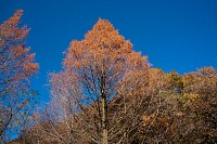 大谷戸公園分岐にて