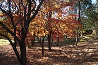 府中の森公園にて